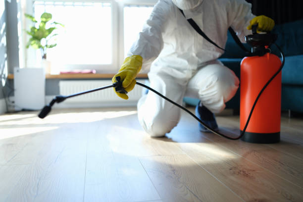 Reliable Biohazard Cleanup contractor in Paris, IL by Trauma Clean Pros